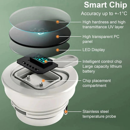 Diagram of a smart chip with labeled components on a green background
